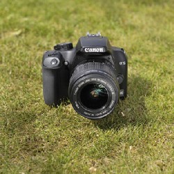 Memilih Lensa Fix untuk Canon EOS 500D