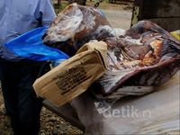 40 Ton Daging Sapi Ilegal Diamankan