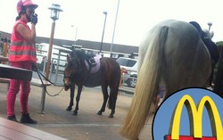 Bawa Kuda Antri Drive-Through McDonalds, Wanita Ini Didenda Polisi