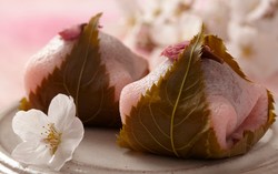Legit Mulur Sakuramochi, Botamochi dan Kuzumochi dari Jepang