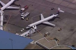 Pesawat Delay Karena Diserbu Kawanan Lebah