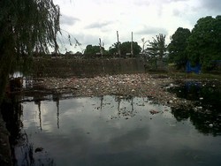 Biang Bau Sungai di Jakut: Sampah Rumah Tangga hingga Bangkai Hewan