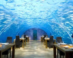  10 Restoran Aneh Tapi Unik, Dilayani Oleh Robot Hingga Nuansa Planet Mars