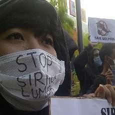 Pentas Lumba-Lumba di Surabaya Didemo Penyayang Satwa