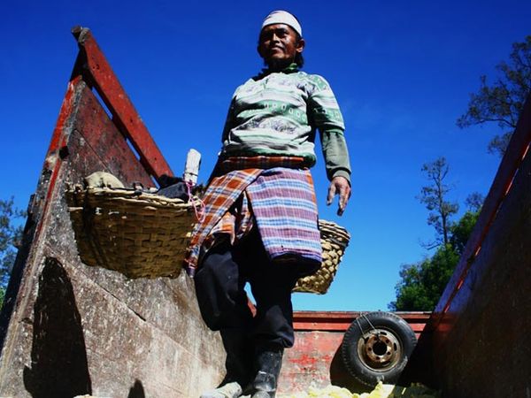 Ramadan, Penambang Belerang Ijen Tetap Bekerja