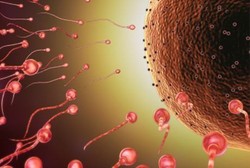 Kualitas Sperma Pria Mulai Menurun di Usia 35