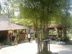 Kembangarum, Desa Wisata Hijau nan Asri di Yogyakarta