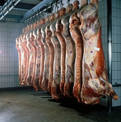 Gara-Gara Kartel Impor Daging Sapi?