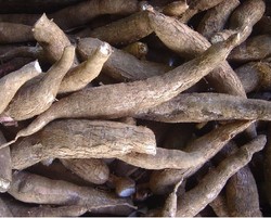 Daging Mahal, Ganti Singkong