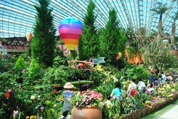 Flower Dome, Taman Bunga Terbesar di Singapura