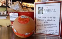 Pencinta Keju Amerika Tolak Larangan Keju Mimolette yang Lezat Berkutu