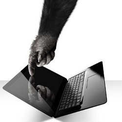 Gorilla Glass Sambangi Notebook Layar Sentuh