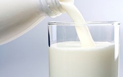 Waspada! Bakteri Ini Senang Bersarang Nyaman dalam Makanan