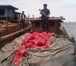 Kapal Pembawa Bawang Merah dari Malaysia Ditangkap di Kepri