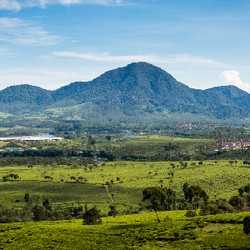 Penyebab Vinyeting di Foto dan Solusinya 