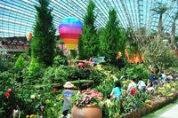 Flower Dome, Taman Bunga Futuristis di Singapura