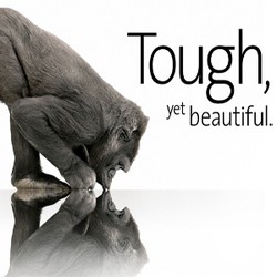 Gorilla Glass Bikin Corning Tajir