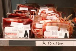 Menipis Jelang Lebaran, PMI Jamin Stok Darah Masih Cukup