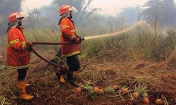 Kebakaran Hutan di Riau, Danlanud: Kita Masih Lakukan Hujan Buatan