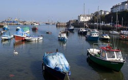 Karena Ulasan Restoran Palsu di TripAdvisor Pengunjung Nyasar ke Gang Penuh Sampah