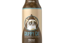 Grumpy Cat Grumpuccino, Kopi si Kucing Seleb Internet