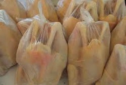 Memilih Ayam Kampung Asli