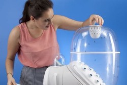 Kebutuhan Protein Bisa Dipenuhi dengan Makan Larva Lalat dari Mesin Ini 