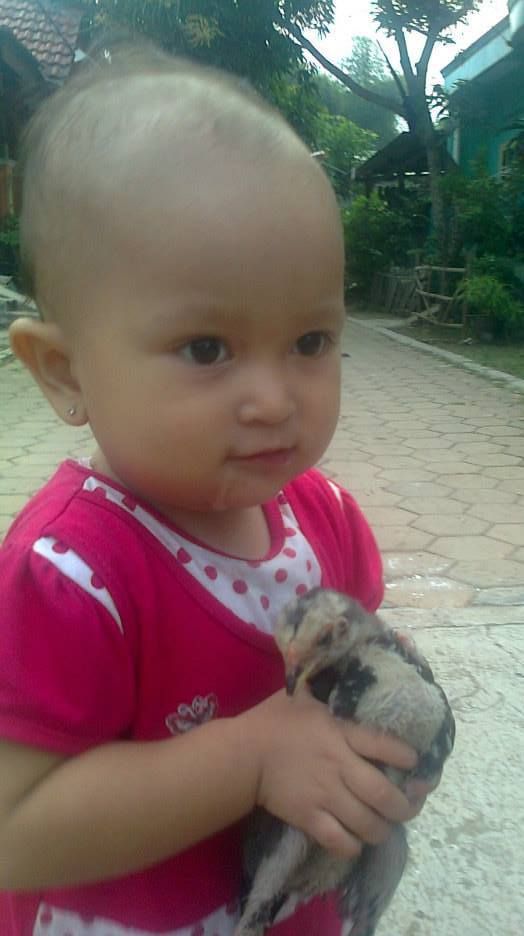 Khansa Khairina Radhwa, 1,3 Tahun, Perempuan
