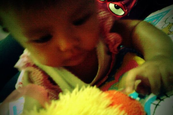 Jasmine Najwa Ariestya, 20 Bulan, Perempuan