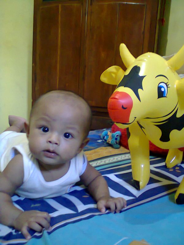 Alfan Muhammad Zain, 7 Bulan, Lelaki