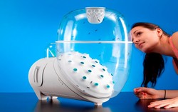 Wah, Dengan Alat Ini Larva Bisa Diternakkan di Rumah!