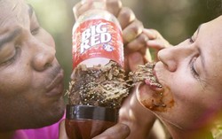 Wouw! Ada Botol Soda Berisi Daging BBQ Plus Sausnya!