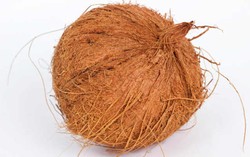 Saat Membeli Kelapa Segar, Cek Kualitasnya dengan Cara Ini