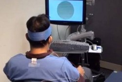  Peneliti Temukan Alat untuk Kendalikan Hewan Lewat Pikiran