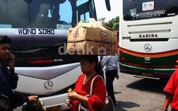 Penumpang Mudik Pengguna Bus Menurun karena Banyak Program Mudik Gratis