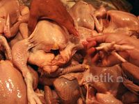 Jelang Lebaran, Harga Ayam Melambung
