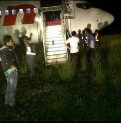  Pasca Insiden Sapi Nyelonong, Bandara Gorontalo Kembali Dibuka