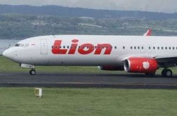 Pasca Insiden Sapi Nyelonong, Bandara Gorontalo Kembali Dibuka