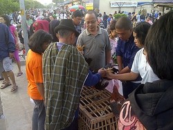 Megengan, Pasar Asem Surabaya Diserbu Pedagang Ayam Kampung