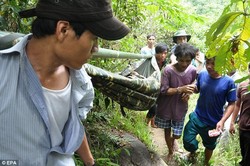 Ayah dan Anak Ditemukan Hidup di Hutan Setelah 40 Tahun Menghilang