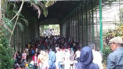 Hari Kedua Lebaran, 70 Ribu Pengunjung Padati Kebon Binatang Ragunan