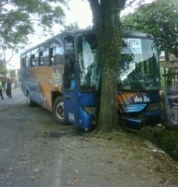 Bus Doa Ibu Tabrak Pohon di Garut