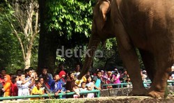 Kebun Binatang Ragunan Punya Jurus Baru Antisipasi Kasus Anak Hilang