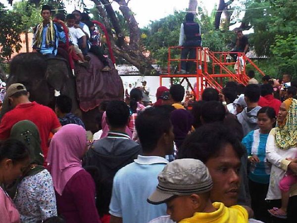 Pengunjung KBS Mencapai Puncaknya
