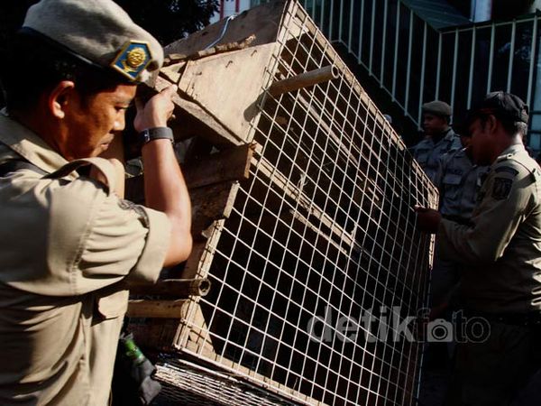 PKL Pasar Tanah Abang Digusur