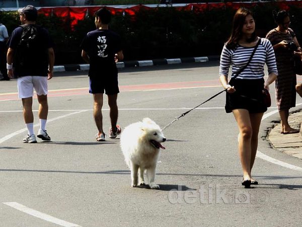 Car Free Day Sepi Pengunjung