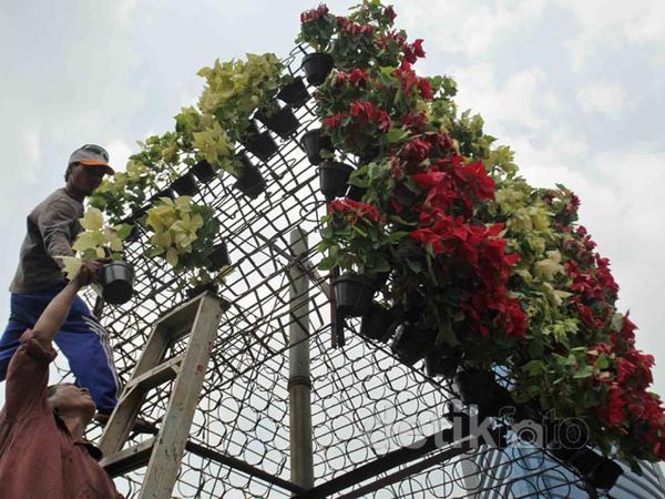 Bunga Merah-Putih Sambut HUT RI ke-68