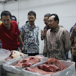 Suswono: Operasi Pasar Daging Impor Bulog Tak Tepat