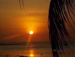 Pantai Boa di NTT: Rumput Laut, Sunset Keren & Surfing!