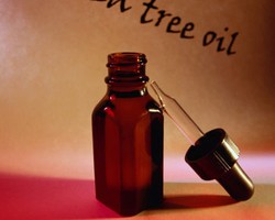 Manfaat Tea Tree Oil Selain untuk Menyembuhkan Jerawat